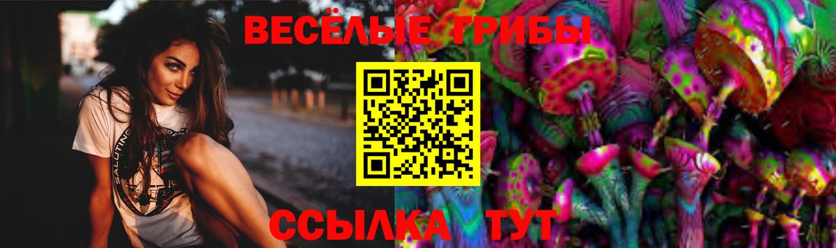 цены наркотик  Вход с VPN  Псилоцибиновые грибы Psilocybine cubensis  Кудымкар  Псилоцибиновые грибы ЛСД 