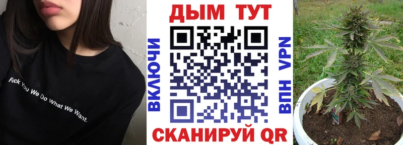 Каннабис индика  Кудымкар 